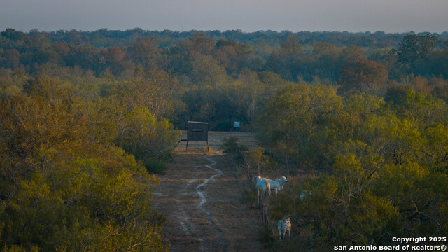 Listing photo id 6 for 916 County Road 421