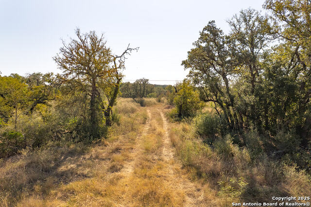 Image 2 of 23 For 540 Pr 233