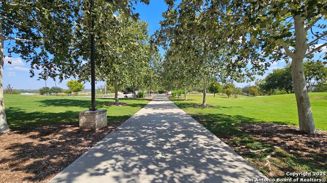 Image 41 of 42 For 208 Roadrunner