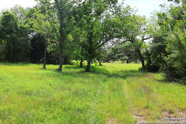 Listing photo id 8 for 1922 County Road 407