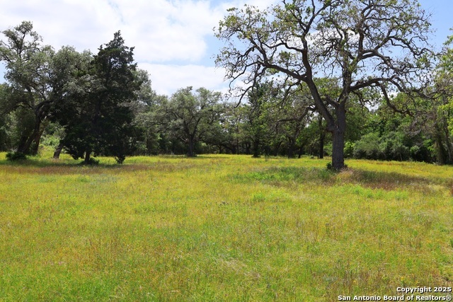 Listing photo id 9 for 1922 County Road 407