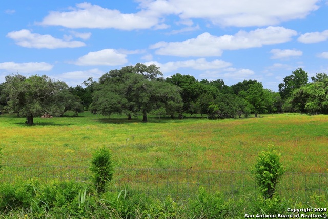 Listing photo id 10 for 1922 County Road 407