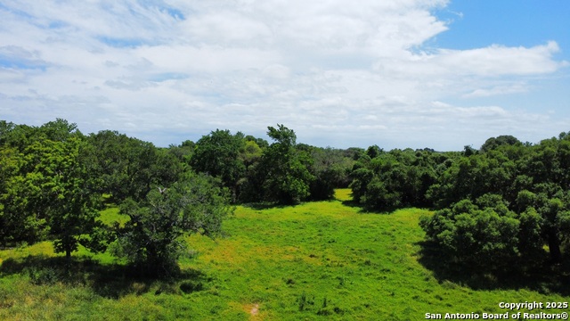 Listing photo id 2 for 1922 County Road 407
