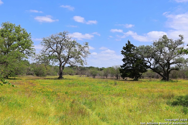 Listing photo id 3 for 1922 County Road 407
