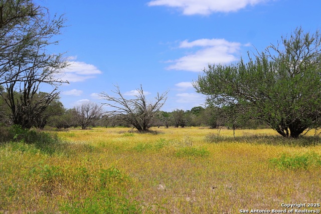 Listing photo id 4 for 1922 County Road 407