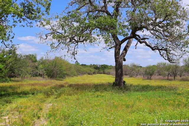 Listing photo id 5 for 1922 County Road 407