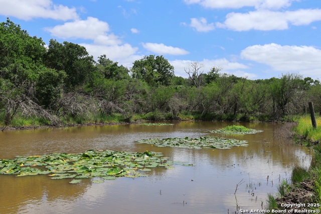 Listing photo id 6 for 1922 County Road 407