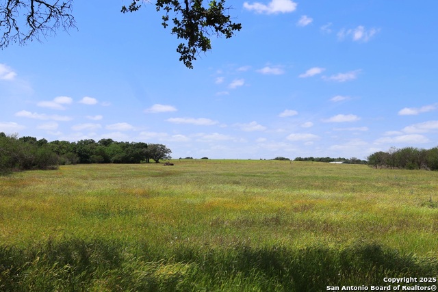 Listing photo id 7 for 1922 County Road 407