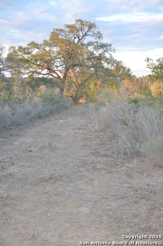 Image 27 of 31 For 1219 County Road 761