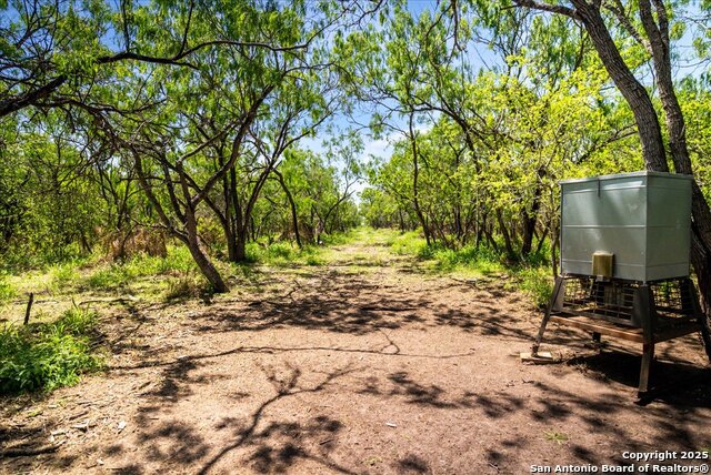 Details for 000 Cr 175 , Sandia, TX 78383