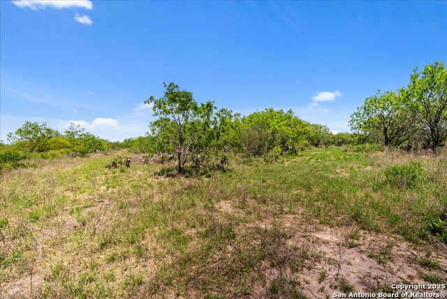 Image 10 of 26 For 000 Cr 175