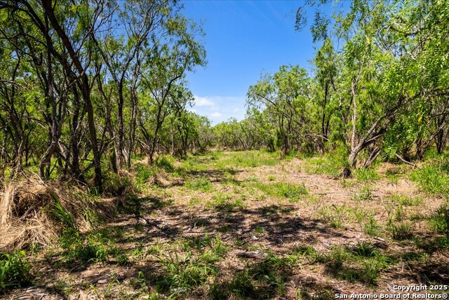 Image 12 of 26 For 000 Cr 175