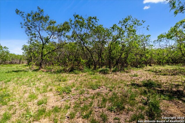 Image 14 of 26 For 000 Cr 175