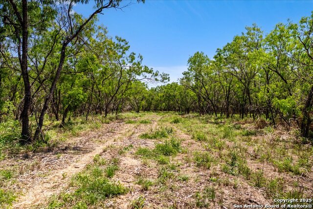 Image 15 of 26 For 000 Cr 175