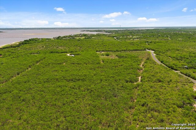 Image 21 of 26 For 000 Cr 175