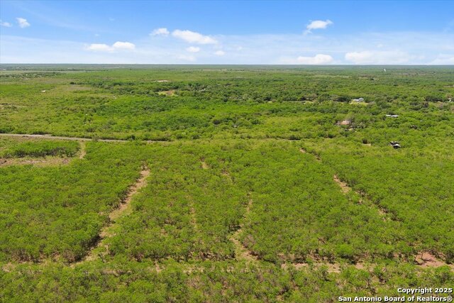 Image 22 of 26 For 000 Cr 175