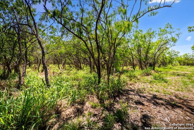 Image 3 of 26 For 000 Cr 175