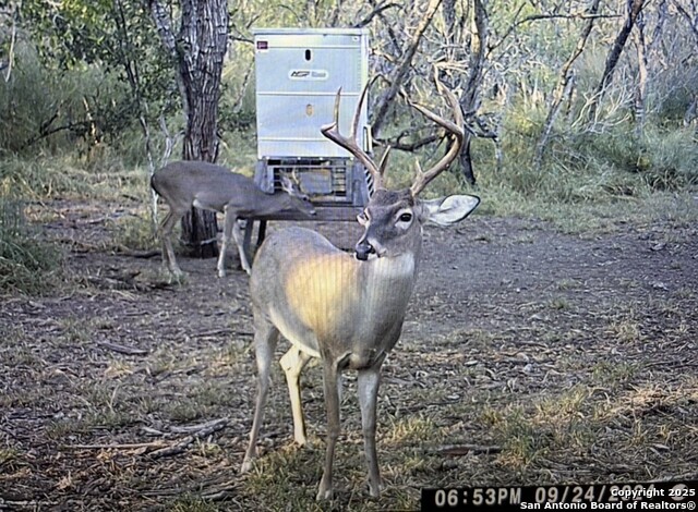 Image 4 of 26 For 000 Cr 175