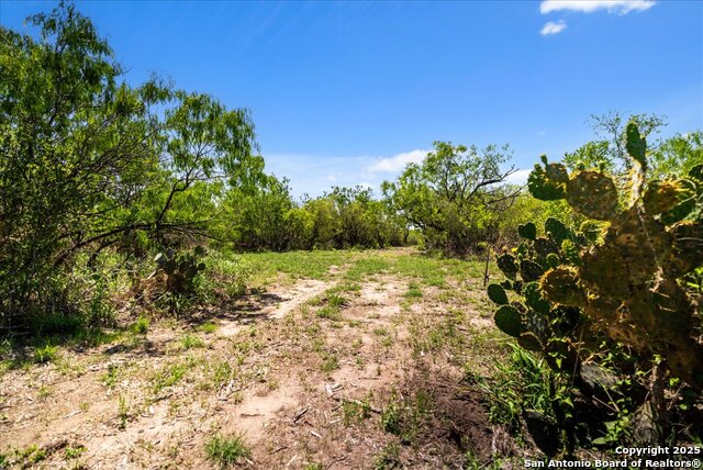 Image 5 of 26 For 000 Cr 175