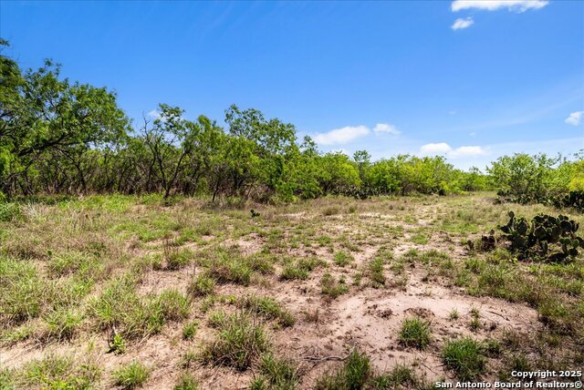 Image 9 of 26 For 000 Cr 175