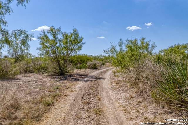 Listing photo id 38 for 944 Fm 1049  