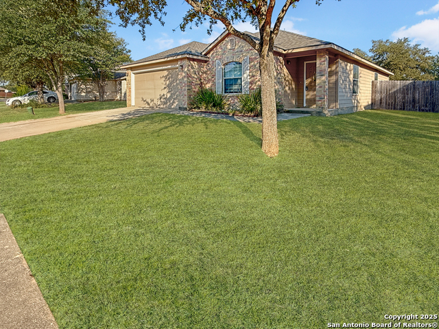 Image 9 of 23 For 213 Stampede