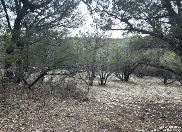 Listing photo id 5 for Lot 58 Paladin