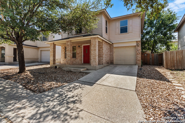 Image 2 of 15 For 10106 Figaro Cyn