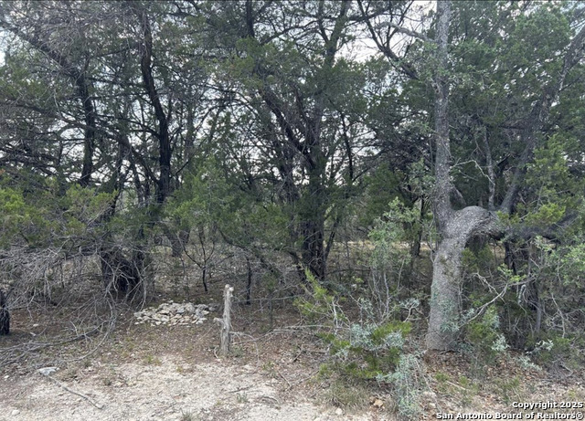 Listing photo id 2 for Lot 30 Paladin