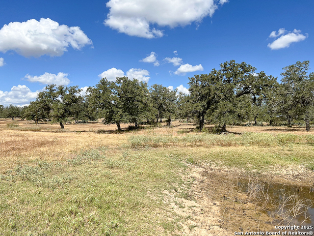 Listing photo id 23 for Tbd Nash Creek