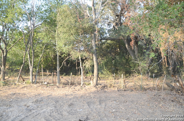 Details for Tbd Highway 173, Devine, TX 78016