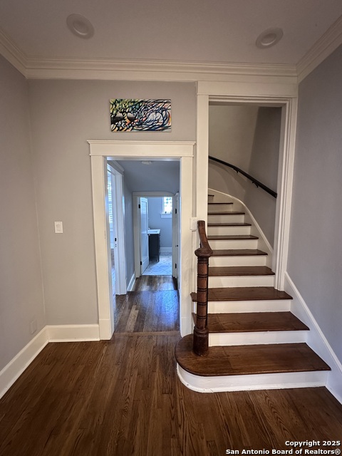 Image 32 of 46 For 203 West Mulberry Avenue