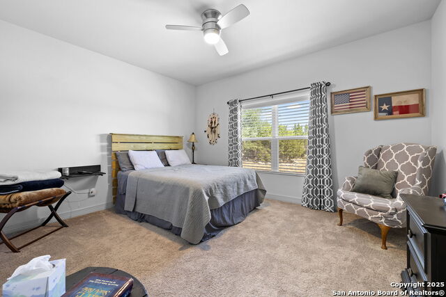 Image 10 of 41 For 118 Red Tail