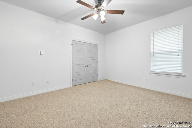 Image 9 of 41 For 118 Red Tail