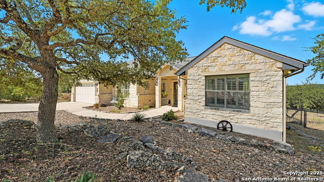 Image 48 of 48 For 1138 Royal Eagle