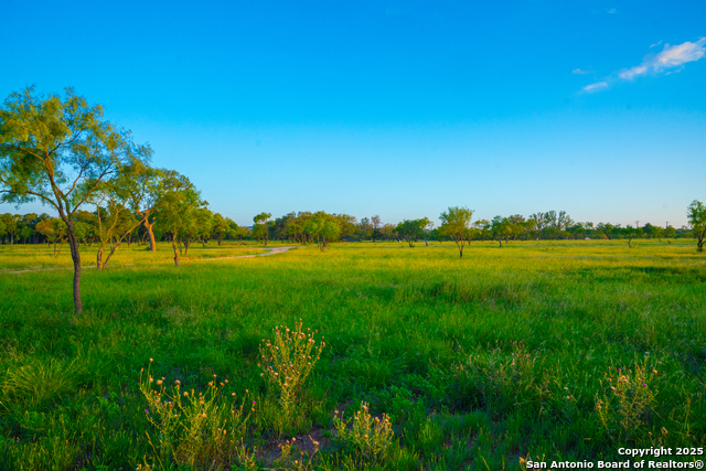 Image 11 of 14 For 0000 Golden Hour Ranch