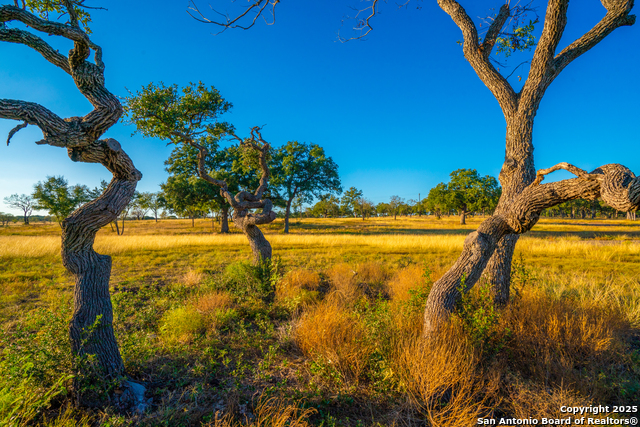 Image 12 of 14 For 0000 Golden Hour Ranch