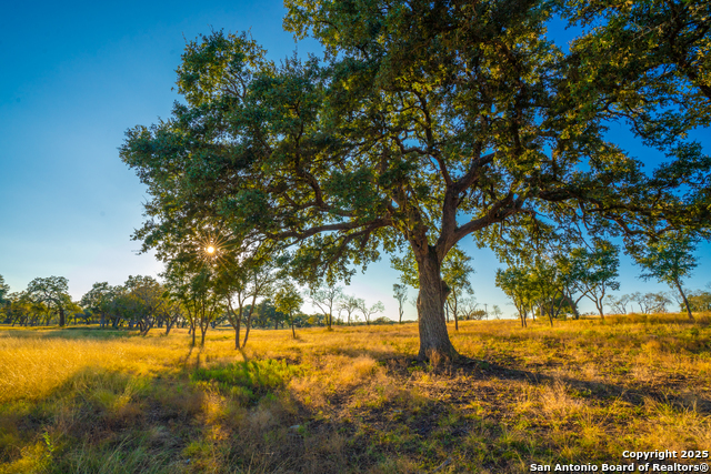 Image 13 of 14 For 0000 Golden Hour Ranch