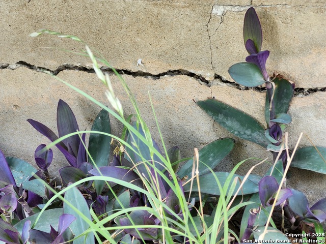 Image 19 of 25 For 6611 Peachtree