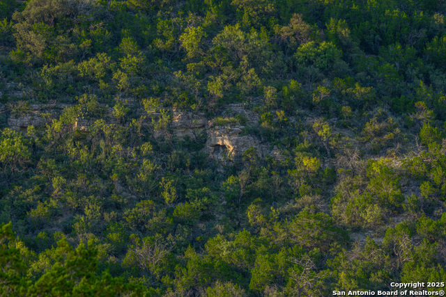 Image 72 of 89 For Tbd Fm 2169  