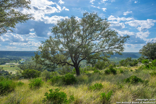 Image 76 of 89 For Tbd Fm 2169  