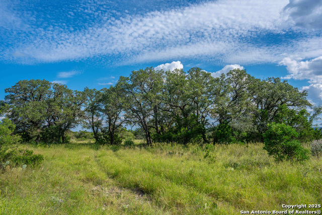 Image 77 of 89 For Tbd Fm 2169  