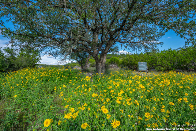 Image 84 of 89 For Tbd Fm 2169  