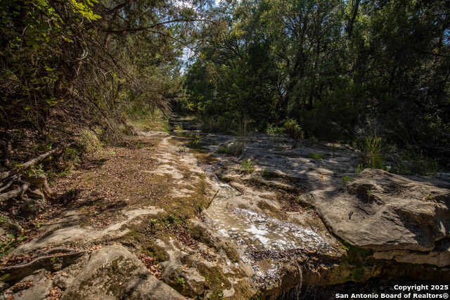 Image 17 of 48 For Tbd Wilson Branch Rd