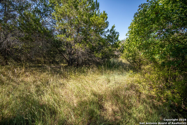 Image 24 of 48 For Tbd Wilson Branch Rd