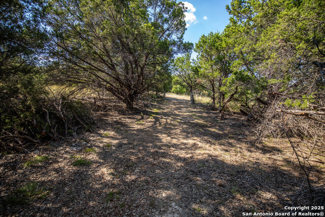 Image 31 of 48 For Tbd Wilson Branch Rd