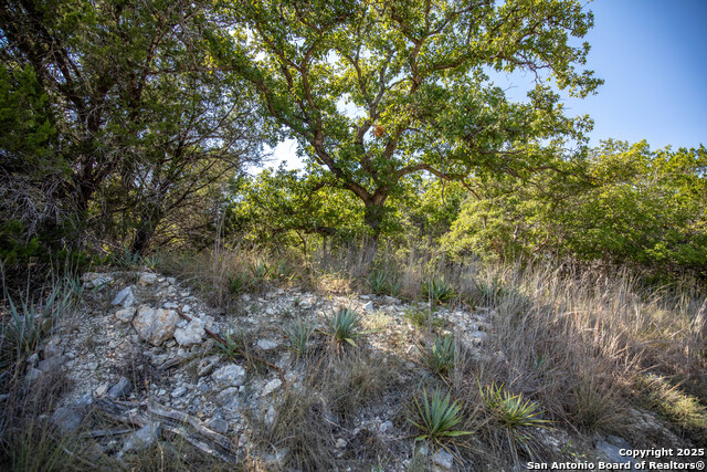 Image 36 of 48 For Tbd Wilson Branch Rd