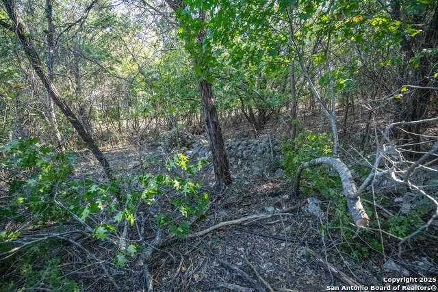 Image 41 of 48 For Tbd Wilson Branch Rd