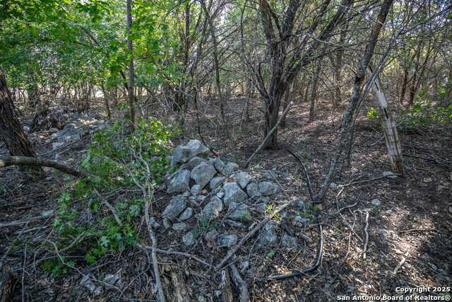 Image 42 of 48 For Tbd Wilson Branch Rd