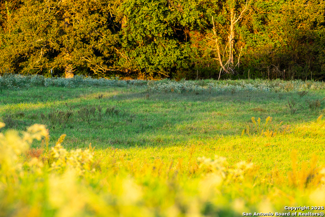 Image 10 of 34 For 14926 County Road 438